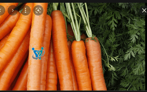 فوائد زريعة الجزر لزيادة الوزن 1 فوائد زريعة الجزر لزيادة الوزن